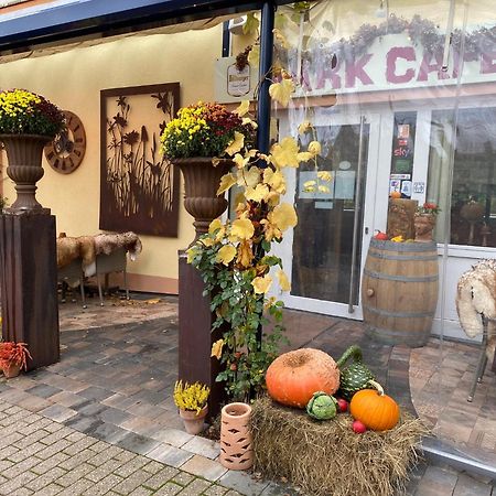 Ferienwohnungen Park Cafe Am Kurpark Бернкастел-Кюс Екстериор снимка